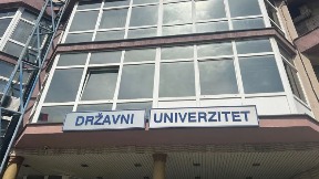 Soldatović nova rektorka